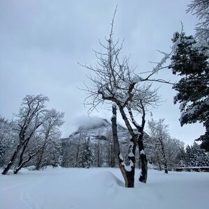 Meet your Posher, Kirsten